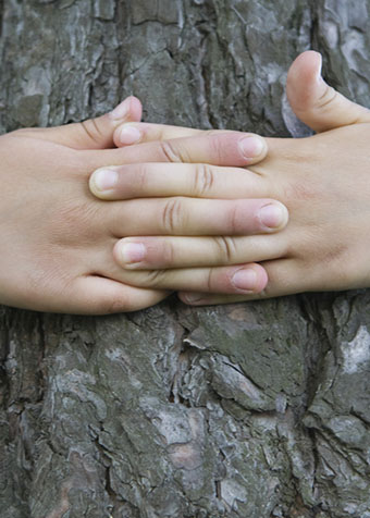 stretta di mani bimbo attorno albero